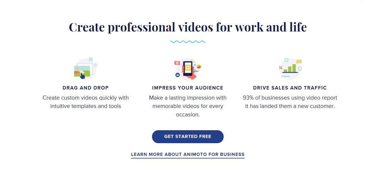 Get feedback from a vast remote working audience about Animoto