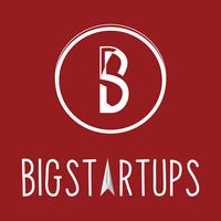 BigStartups - Logo