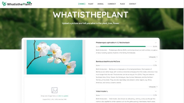 Find detailed information about WhatisthePlant