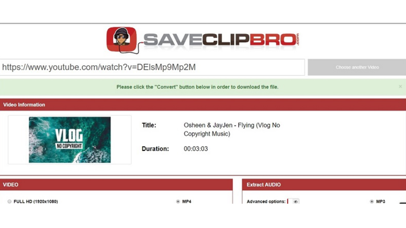 Find detailed information about SaveClipBro