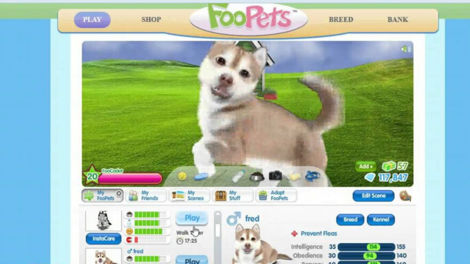 Find pricing, reviews and other details about FooPets