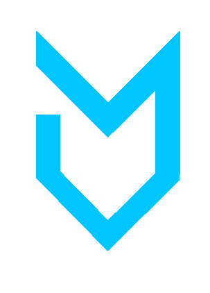MeetFox - Logo