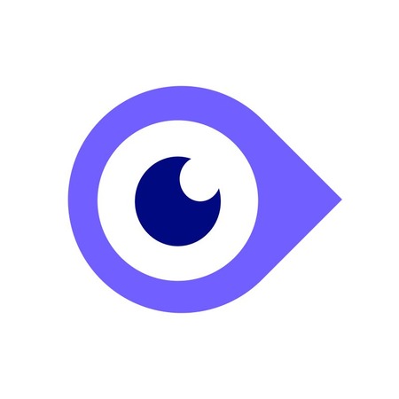 Birdseye - Logo