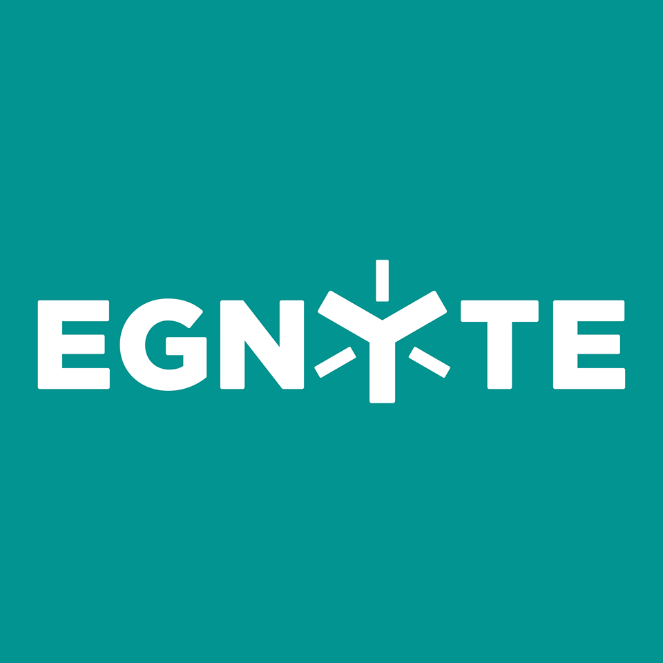Egnyte - Logo