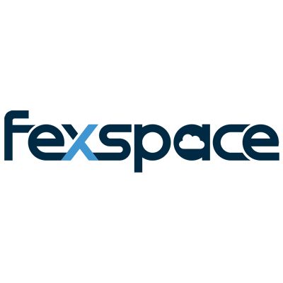 Fexspace - Logo