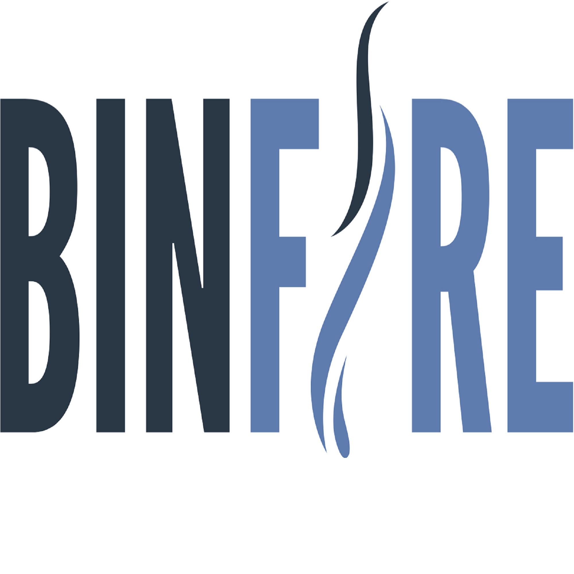 Binfire  - Logo