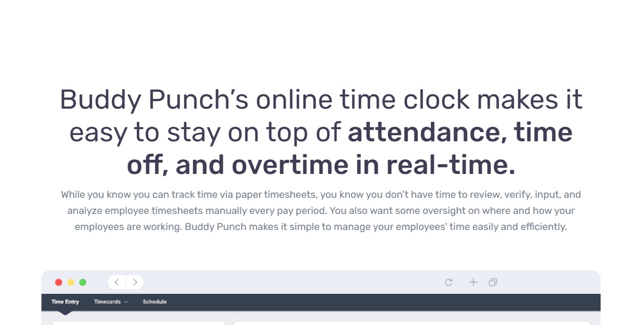 Get feedback from a vast remote working audience about Buddy Punch